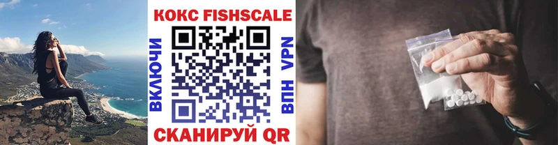 КОКАИН FishScale  наркотики  Каменногорск 