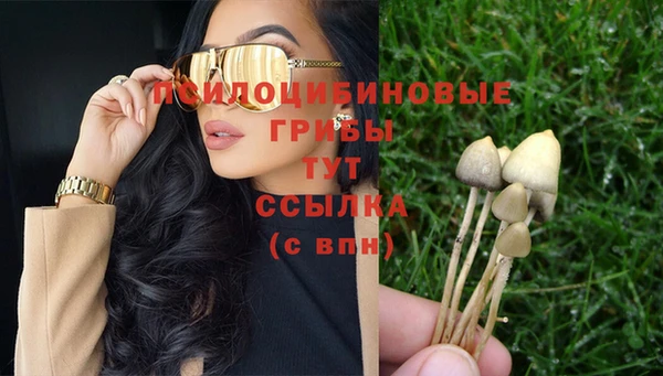 стафф Абдулино