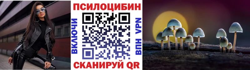 Галлюциногенные грибы Psilocybine cubensis  Каменногорск 