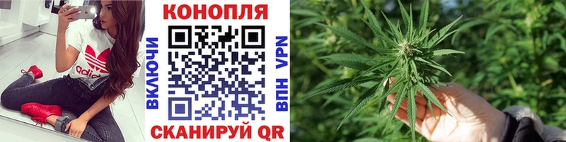 Шишки марихуана планчик Каменногорск