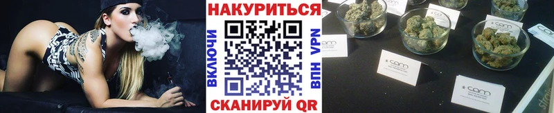 продажа наркотиков  Каменногорск  МАРИХУАНА тримм 